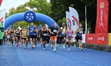 Спортивные события ноября 2024 года: на что обратить внимание